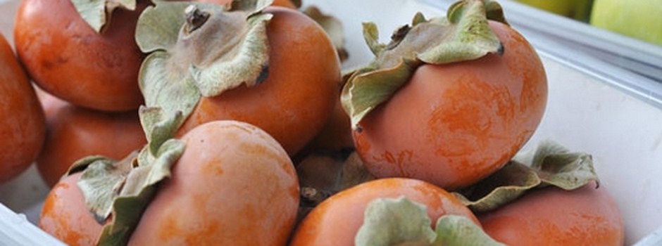 2008_11_17-persimmons1 fuyu 2.jpg