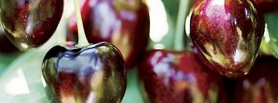 2e8d20b0a37818cf77ef1254984212db 0900 ziraat.jpg